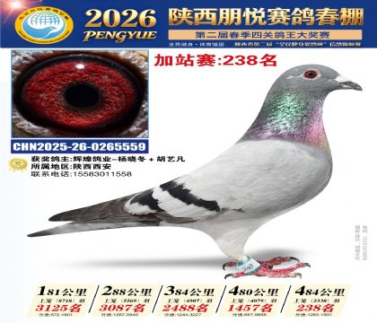 陕西朋悦加站赛238名