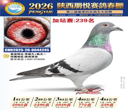 陕西朋悦加站赛239名