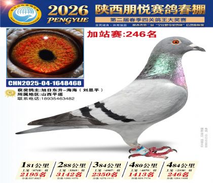 陕西朋悦加站赛246名