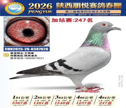 陕西朋悦加站赛247名