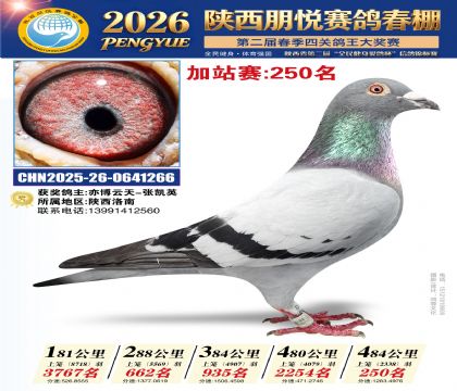 陕西朋悦加站赛250名