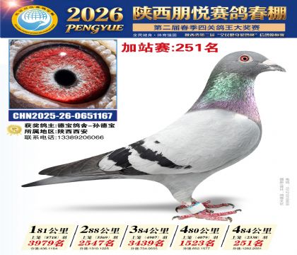 陕西朋悦加站赛251名