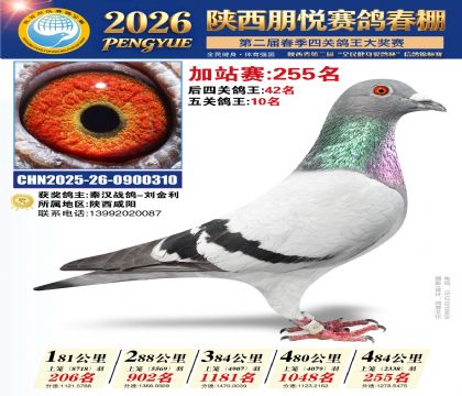 陕西朋悦加站赛255名
