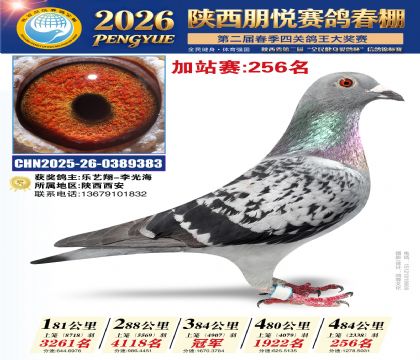 陕西朋悦加站赛256名