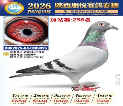 陕西朋悦加站赛258名