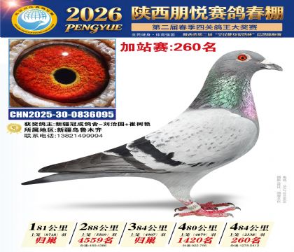 陕西朋悦加站赛260名