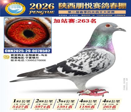 陕西朋悦加站赛263名