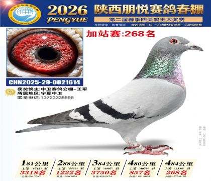 陕西朋悦加站赛268名