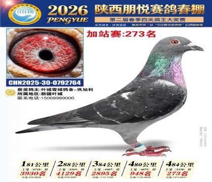 陕西朋悦加站赛273名