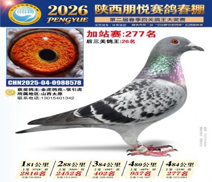 陕西朋悦加站赛277名