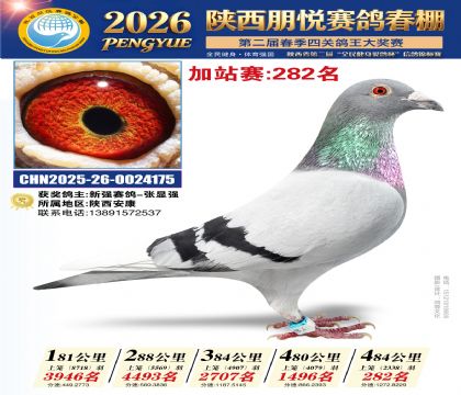 陕西朋悦加站赛282名