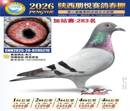 陕西朋悦加站赛283名