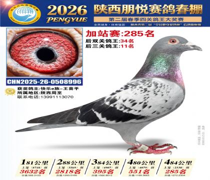 陕西朋悦加站赛285名