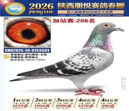 陕西朋悦加站赛286名
