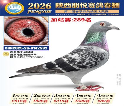 陕西朋悦加站赛289名