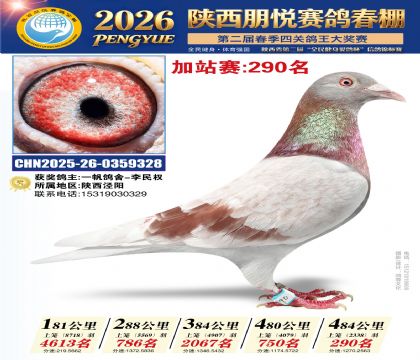 陕西朋悦加站赛290名