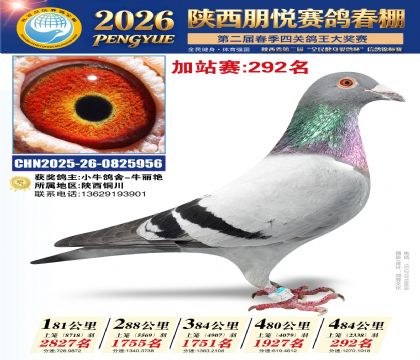 陕西朋悦加站赛292名