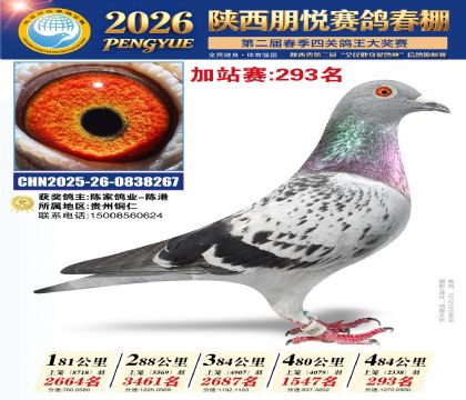 陕西朋悦加站赛293名