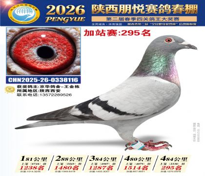 陕西朋悦加站赛295名