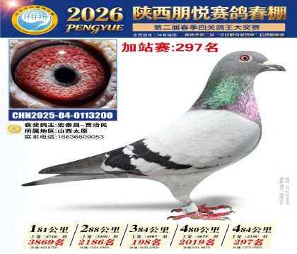 陕西朋悦加站赛297名