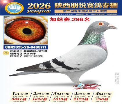 陕西朋悦加站赛296名