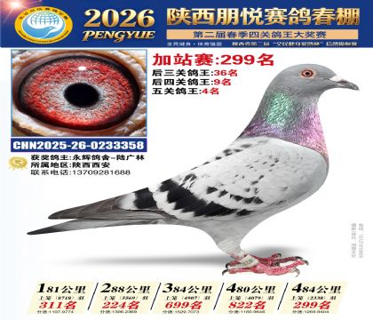 陕西朋悦加站赛299名