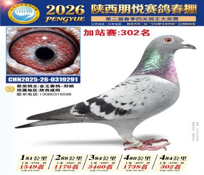陕西朋悦加站赛302名