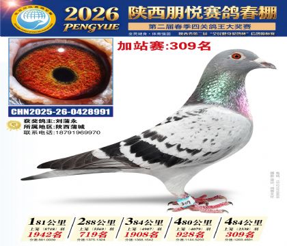 陕西朋悦加站赛309名