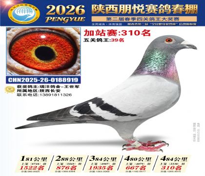 陕西朋悦加站赛310名