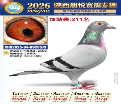 陕西朋悦加站赛311名