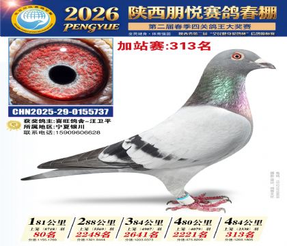 陕西朋悦加站赛313名