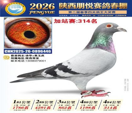 陕西朋悦加站赛314名