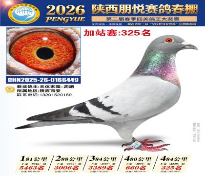 陕西朋悦加站赛325名