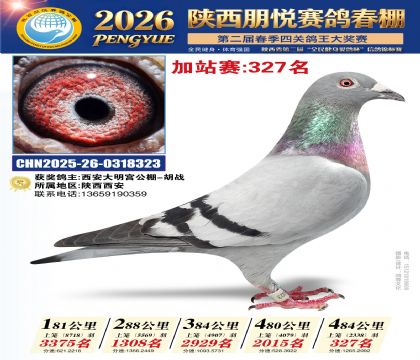 陕西朋悦加站赛327名
