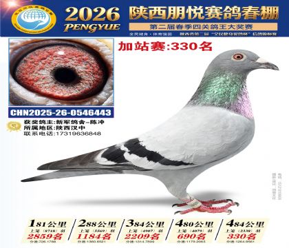 陕西朋悦加站赛330名