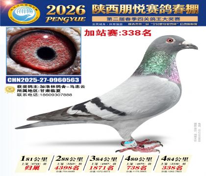 陕西朋悦加站赛338名