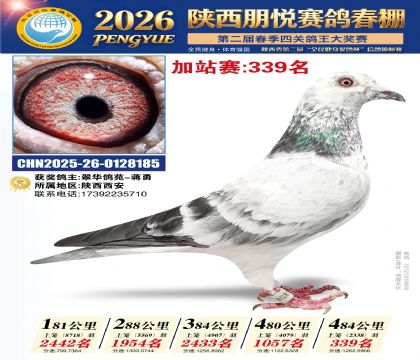 陕西朋悦加站赛339名