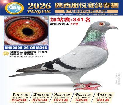 陕西朋悦加站赛341名