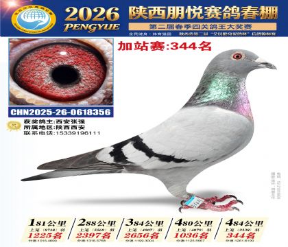 陕西朋悦加站赛344名