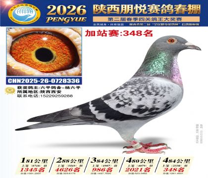 陕西朋悦加站赛348名