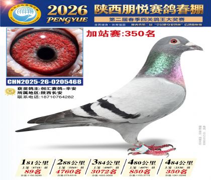 陕西朋悦加站赛350名