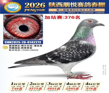 陕西朋悦加站赛376名