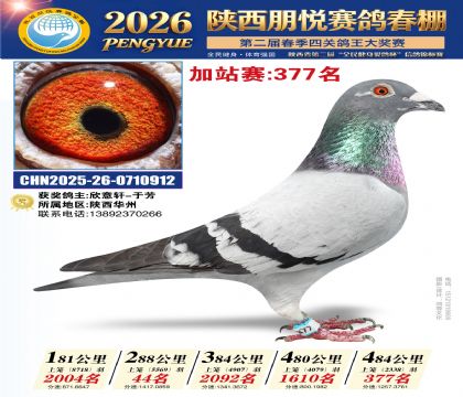 陕西朋悦加站赛377名