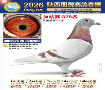 陕西朋悦加站赛378名