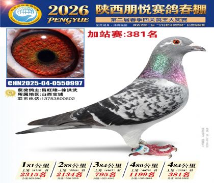 陕西朋悦加站赛381名