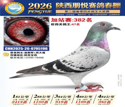 陕西朋悦加站赛382名