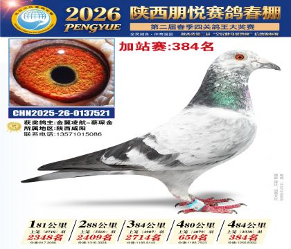 陕西朋悦加站赛384名