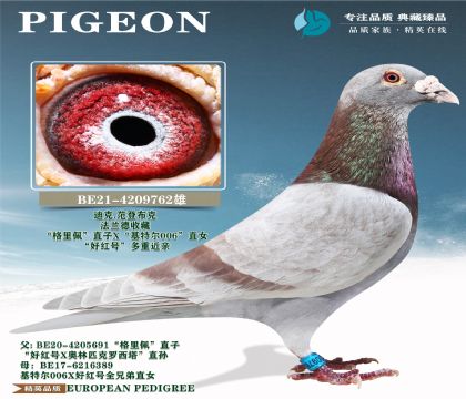 迪克.范登布克超级雄