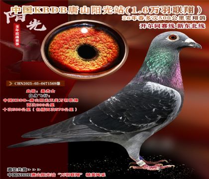 桑杰士.自身唐山阳光十次500公里完翔