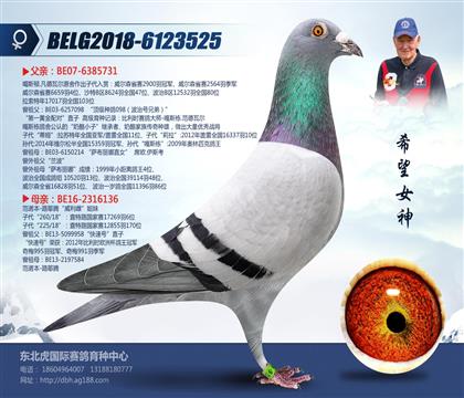 母亲